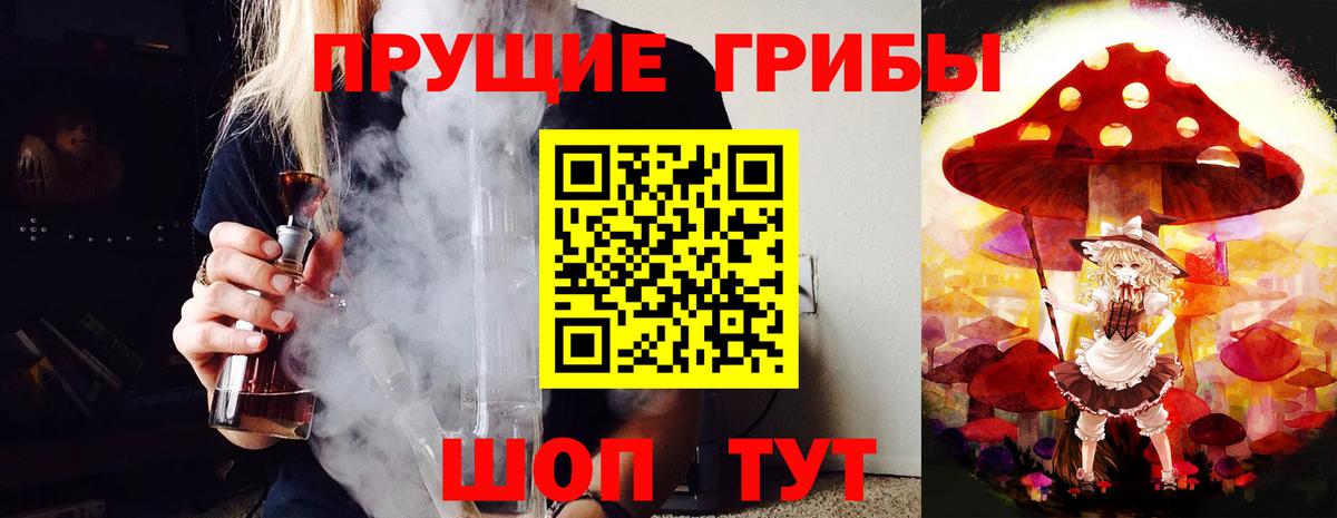 Псилоцибиновые грибы Cubensis  Вход с VPN  Псилоцибиновые грибы Psilocybine cubensis  Воронеж 